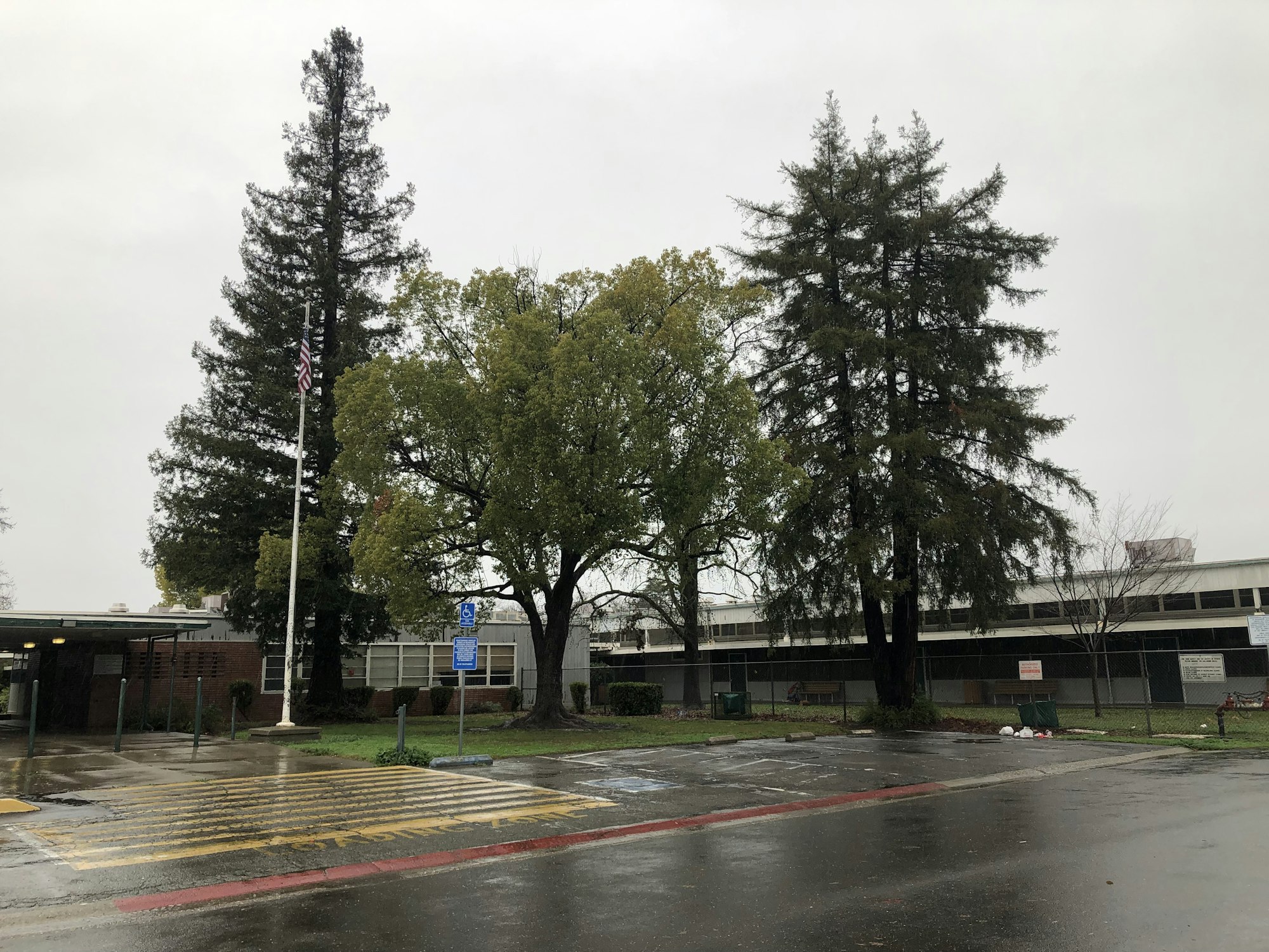 trees, building, asphalt