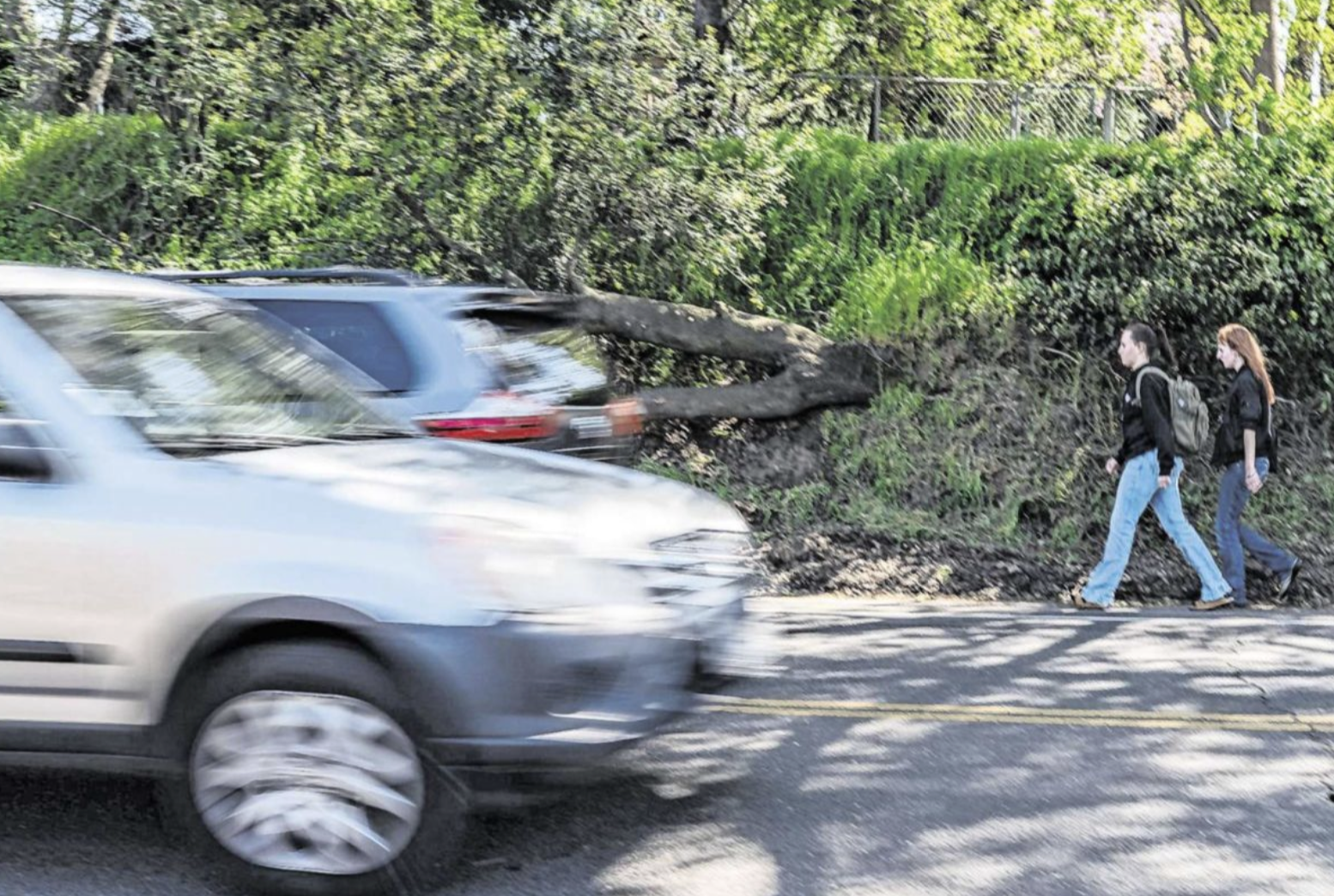 Two people walking on roadside, blurred cars passing by, fallen tree in the background.
