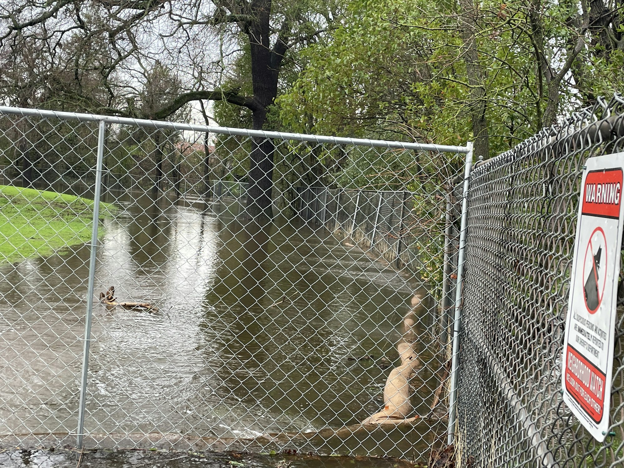 fence, grass, field, flooding