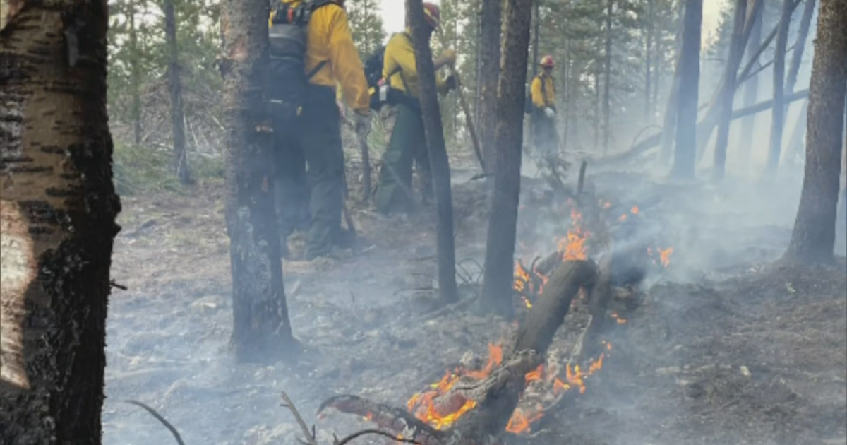 Firefighters working in a smoky, forested area with visible flames and charred ground.