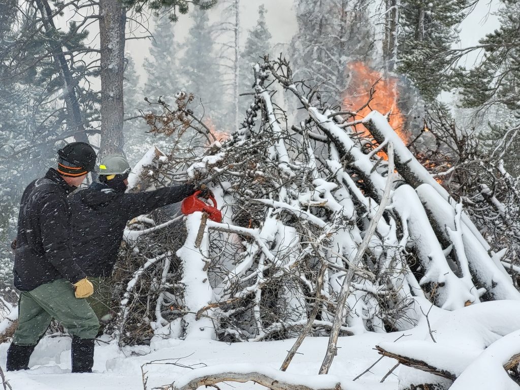 Two individuals are working together to burn a pile of branches in a snowy, forested area while snow is falling around them.