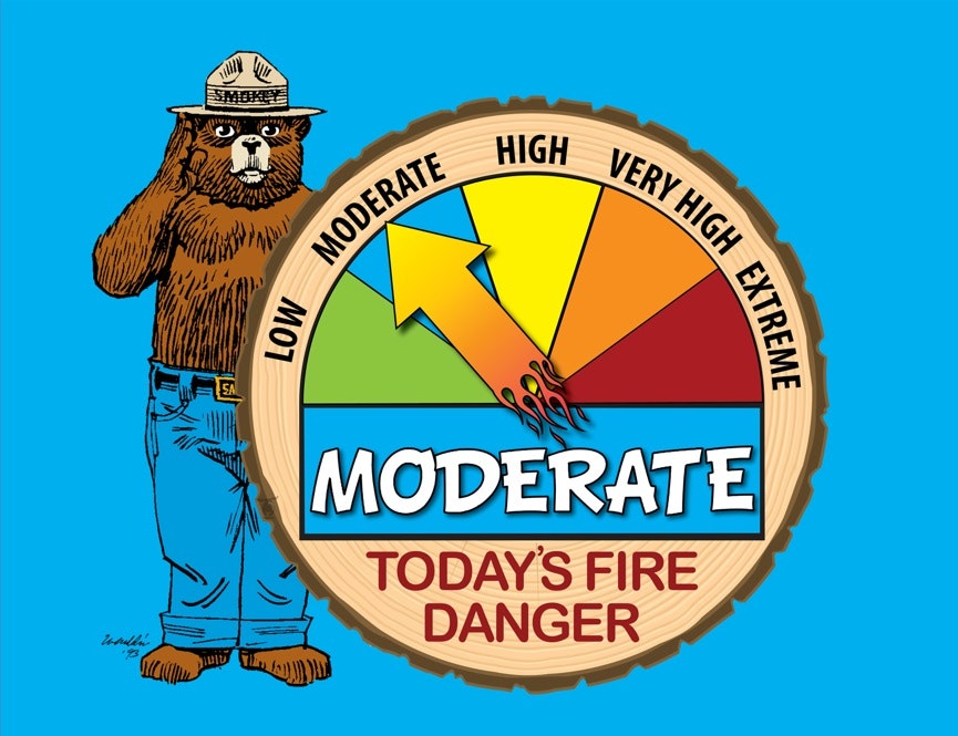 Bear with a fire danger level chart pointing to "Moderate."