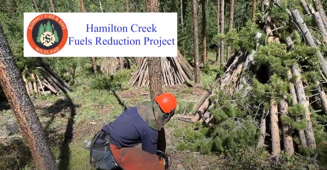 A person with a chainsaw in a forest with text "Hamilton Creek Fuels Reduction Project".