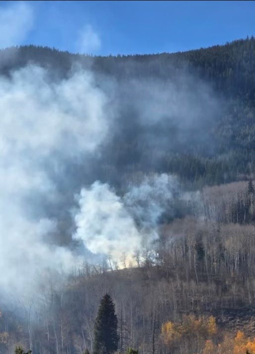 Smoke rising from a forested hillside, possibly due to a wildfire or controlled burn. Trees and clear blue sky visible.