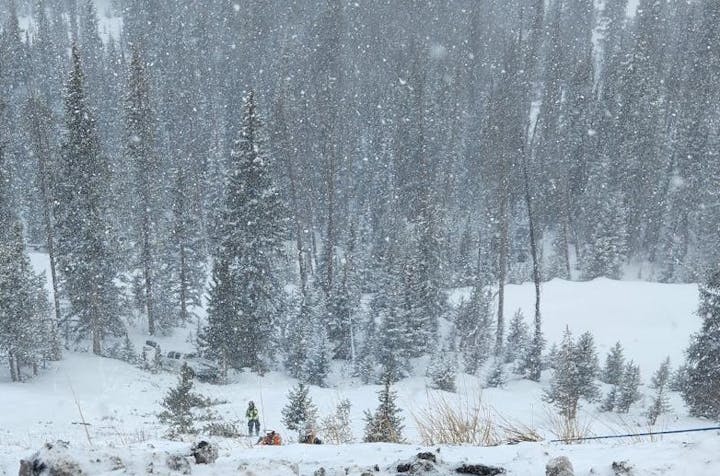 A snowy forest scene with tall trees, snow falling, and a person in winter clothing standing among the trees.