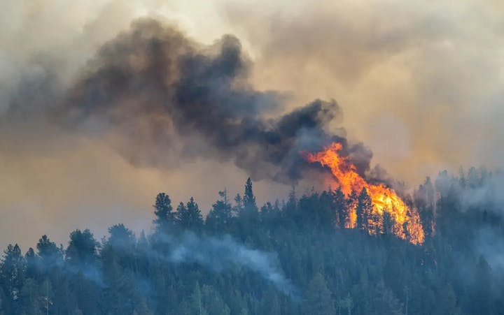 A wildfire engulfs a forest, with towering flames and thick smoke.