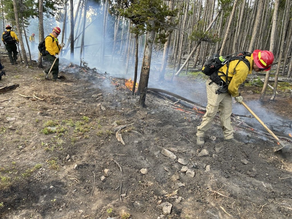 Firefighters managing a small forest fire, using tools to control burning under a smoky, tree-dotted backdrop.