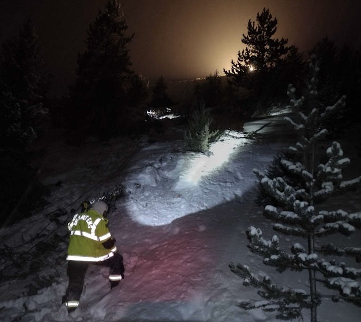 May contain: plant, tree, vegetation, grove, land, nature, outdoors, woodland, night, pine, fir, person, clothing, coat, lighting, conifer, landscape, ice, scenery, and jacket