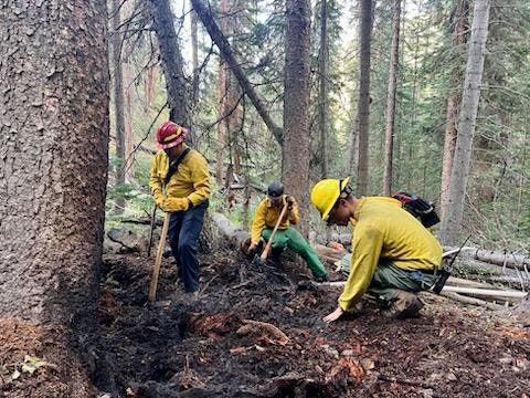Three people in forestry gear working on burned forest soil.