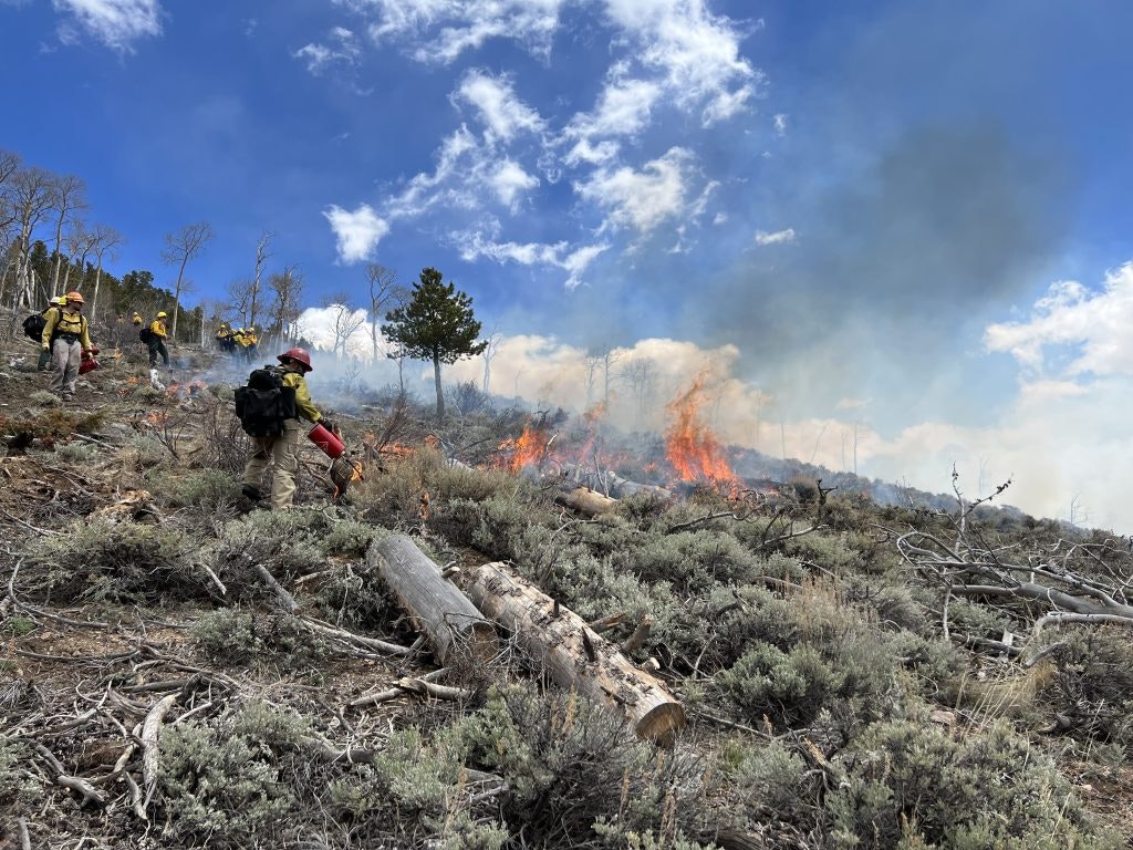 Firefighters work on containment as wildfire burns through forest under blue skies.