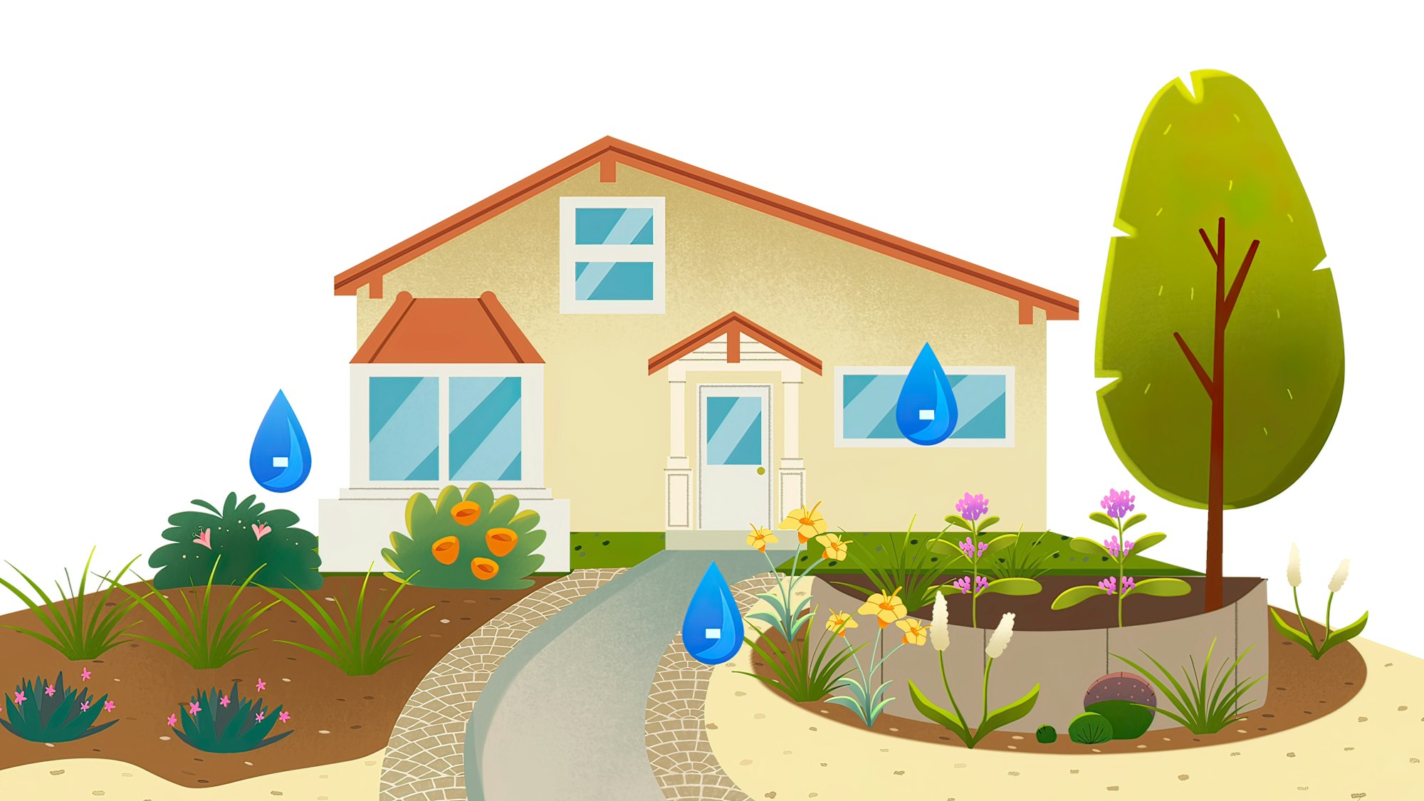 Colorful illustration of a house with garden, pathway, plants, and water drops.
