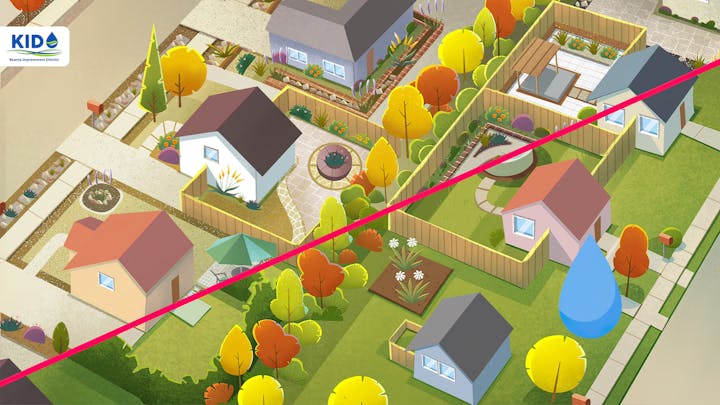 May contain: neighborhood, ball, basketball, basketball (ball), and sport