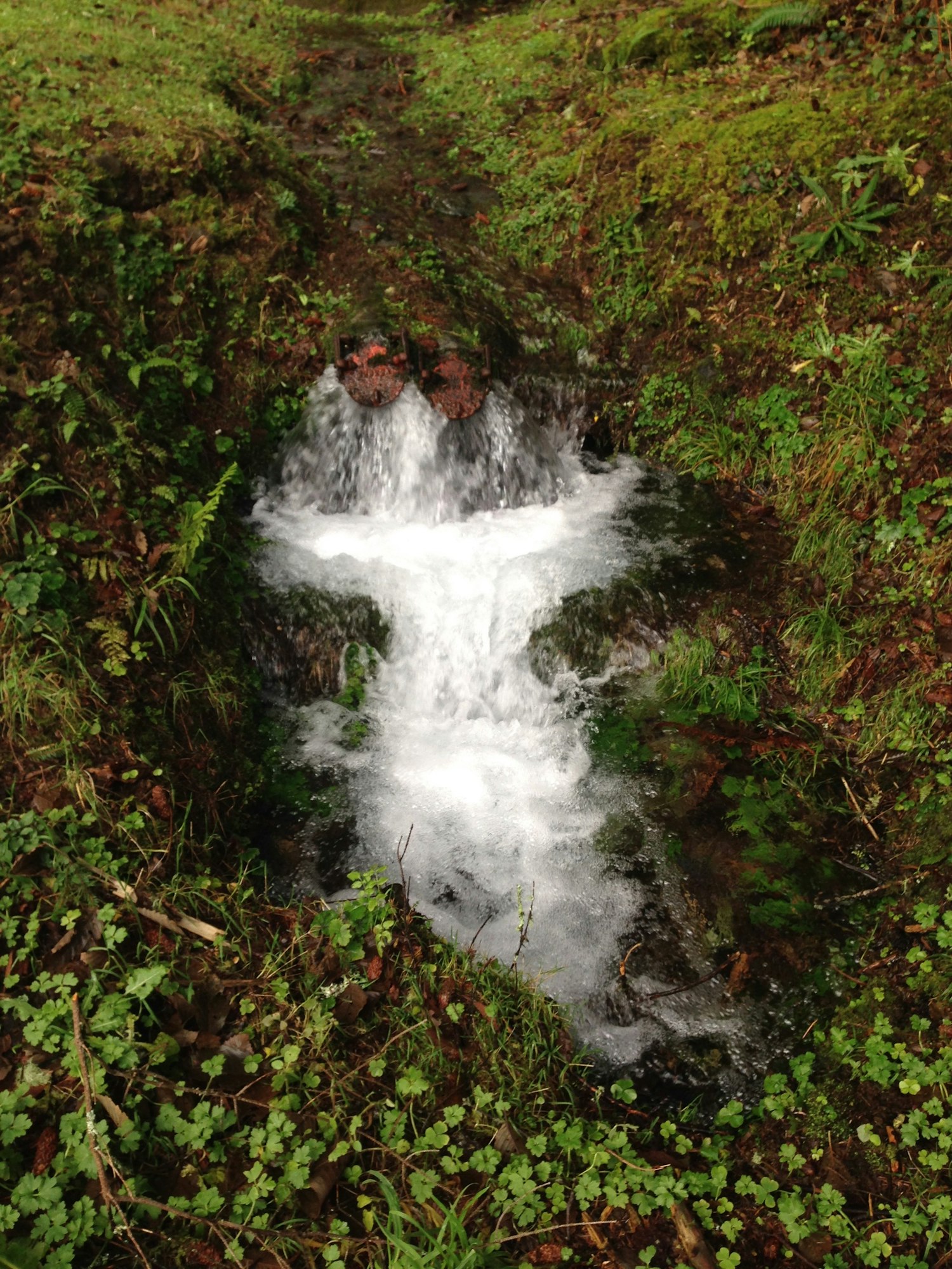 May contain: water, nature, outdoors, river, and waterfall