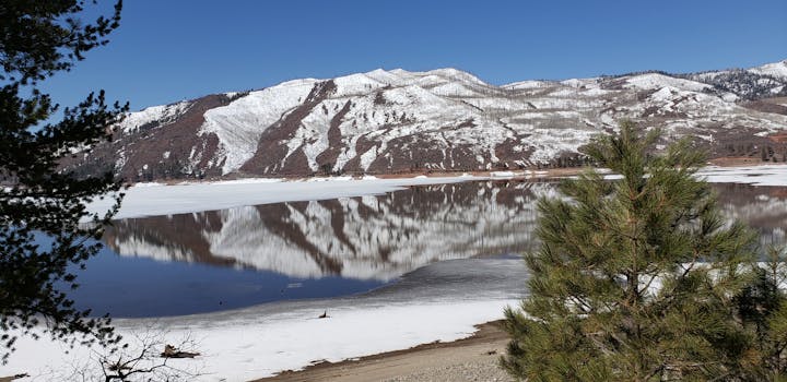 May contain: tree, plant, fir, abies, mountain, nature, outdoors, and ice