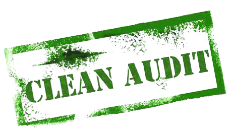Clean Audit