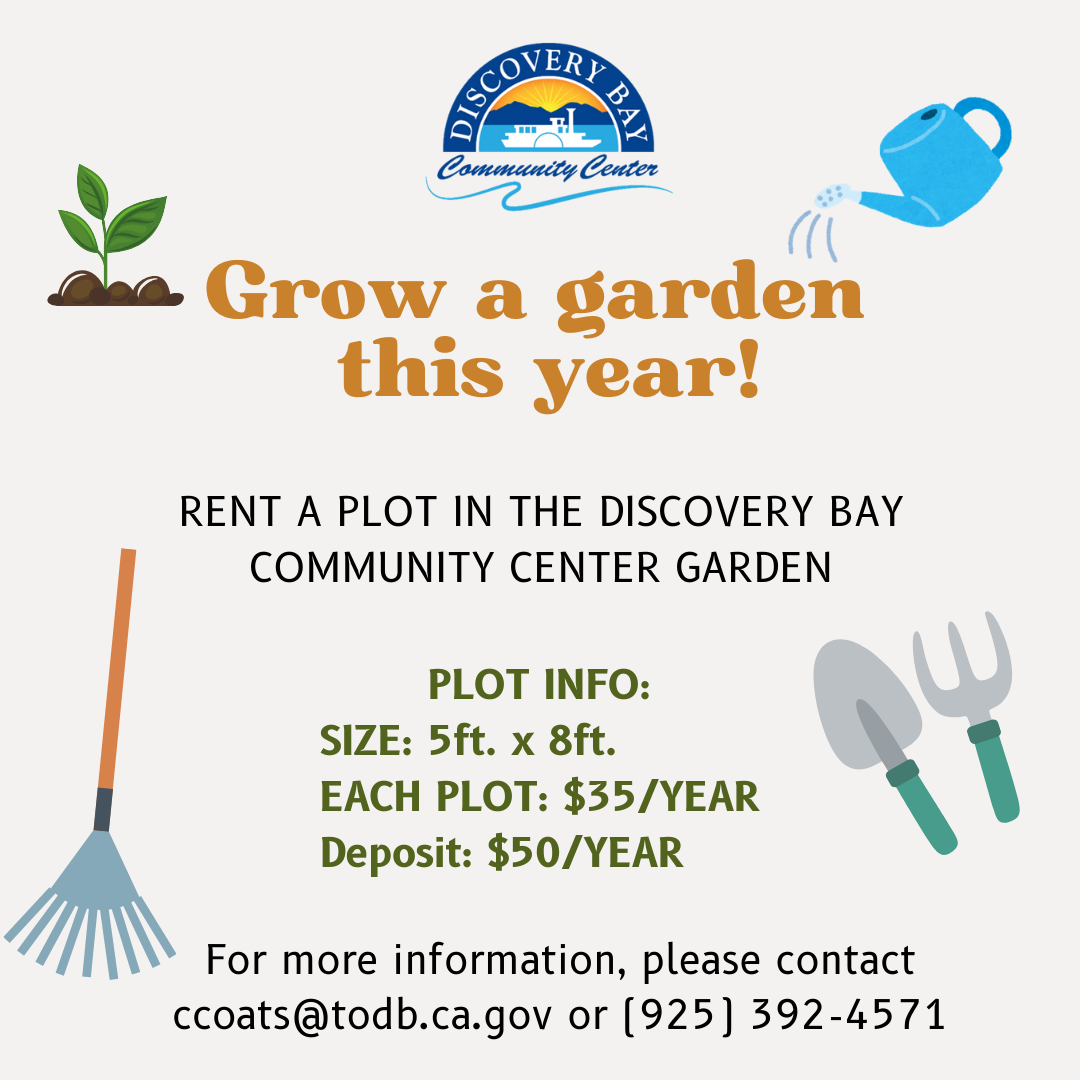 Discovery Bay Community Center garden plots for rent: 5x8ft, $35/year, $50 deposit. Contact ccoats@todb.ca.gov or (925) 392-4571.