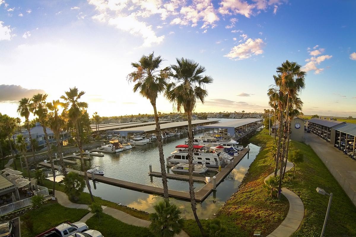 May contain: water, waterfront, watercraft, transportation, vehicle, vessel, marina, pier, dock, port, palm tree, plant, arecaceae, tree, and summer