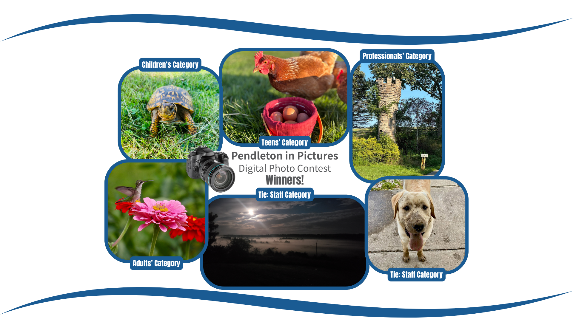 "Pendleton in Pictures" contest winners; photos include a turtle, chicken with eggs, tower, hummingbird, sunset, and a dog.