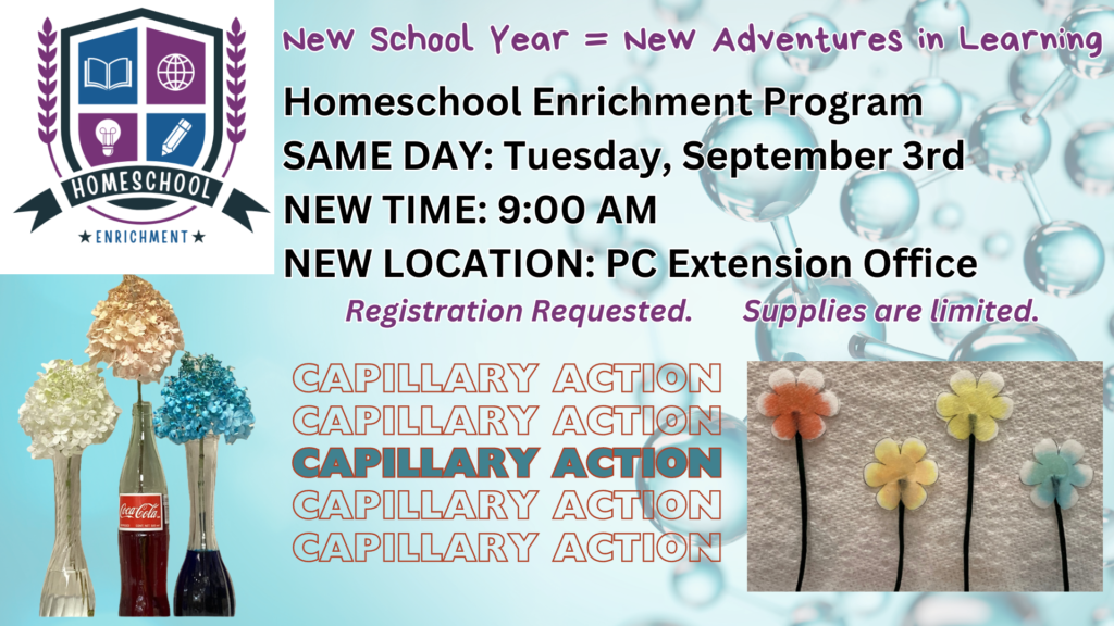 An announcement for a homeschool enrichment program featuring capillary action experiments with flowers and colored water, details about date, time, and location.