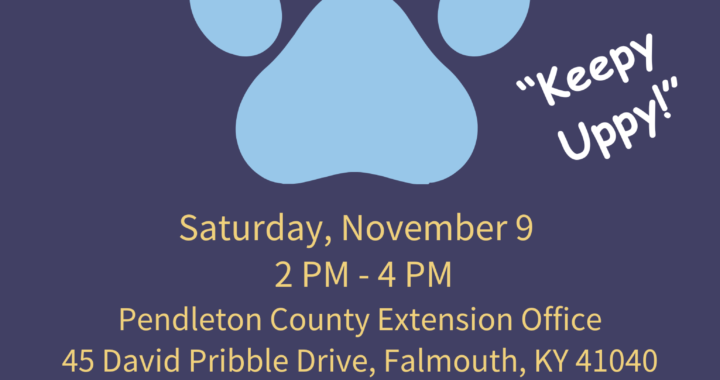Event flyer for "Keepy Uppy" on Saturday, November 9, from 2 to 4 PM at Pendleton County Extension Office.