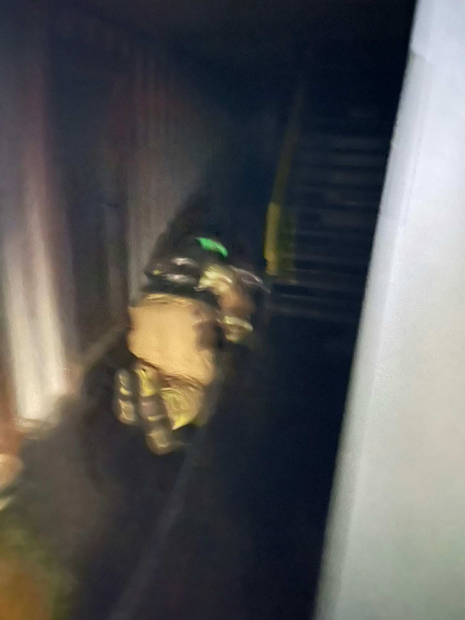 Blurry image of an object under furniture, hard to identify details.