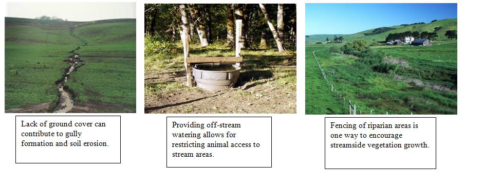 Photographs containing examples of Soil erosion, a Off-stream watering and streamside vegetation
