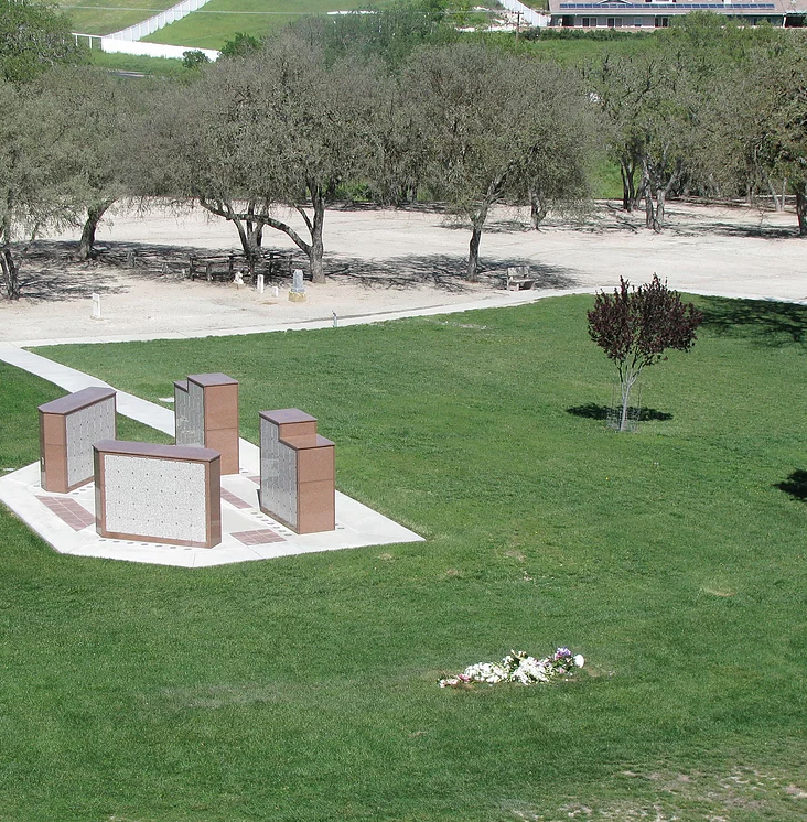 May contain: plant, grass, and lawn