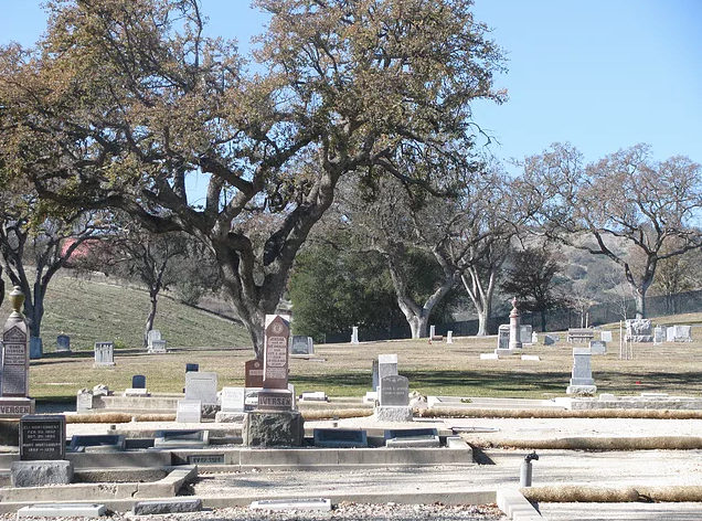 May contain: tomb, tree, and plant