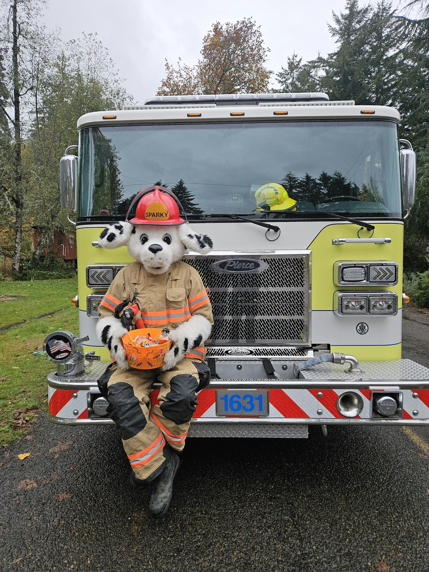 A person in a Dalmatian costume and firefighter gear sits on a fire truck, holding a pumpkin.