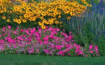 Photo of flowers