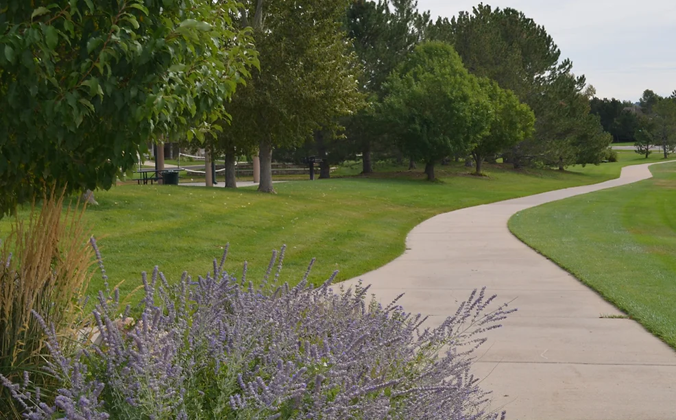 Photo of a trail through a landscaped area