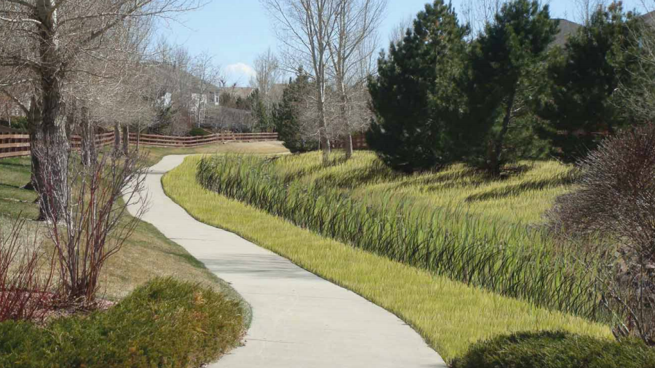 photo of a trail, trees, and grass