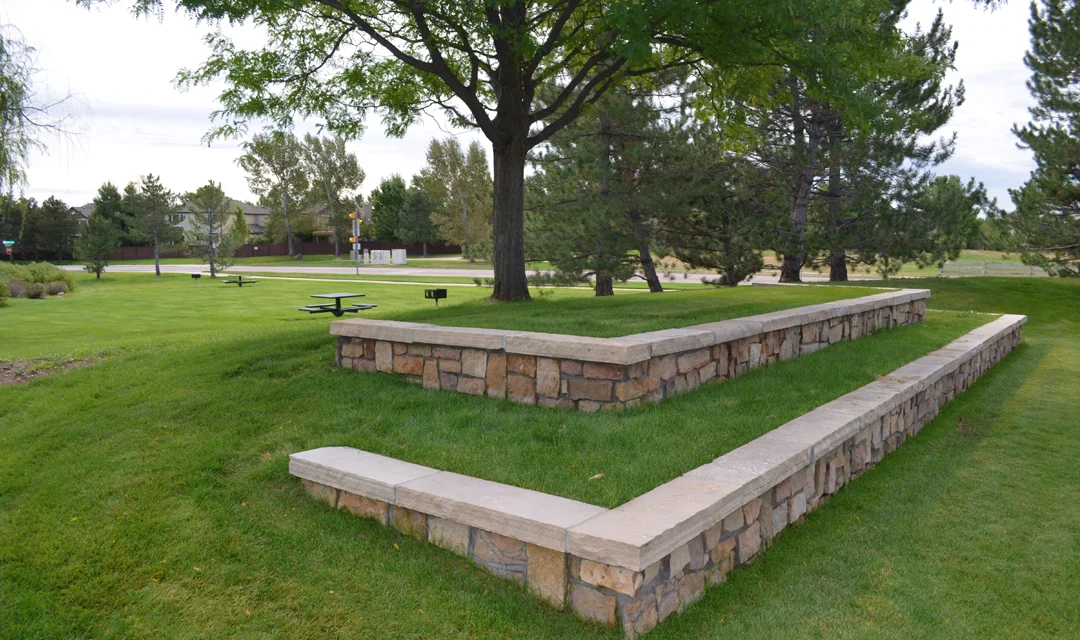 Photo of a raised grass bed with trees