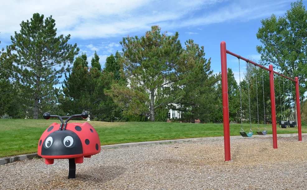 Photo of a playground, swings, and lady bug springy toy