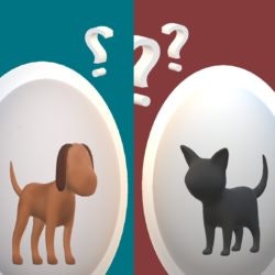 May contain: text and label