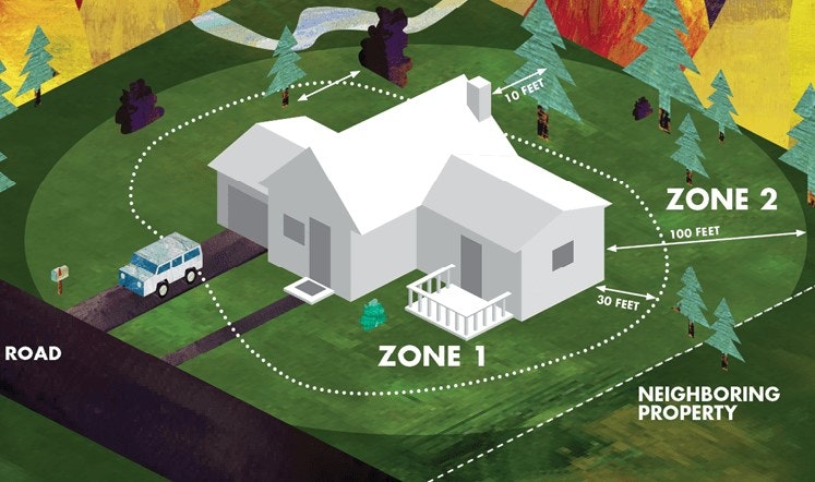 May contain: grass and plant