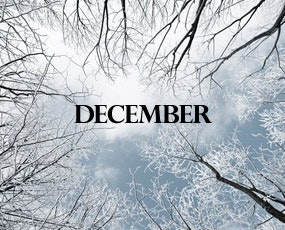 May contain: nature, outdoors, weather, ice, sky, and snow