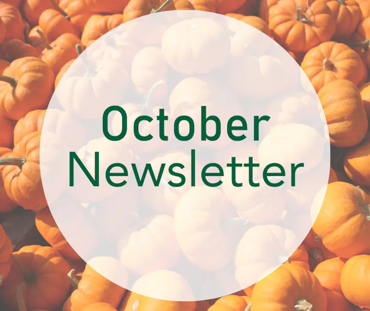 "October Newsletter" text overlaid on a background of small orange pumpkins.