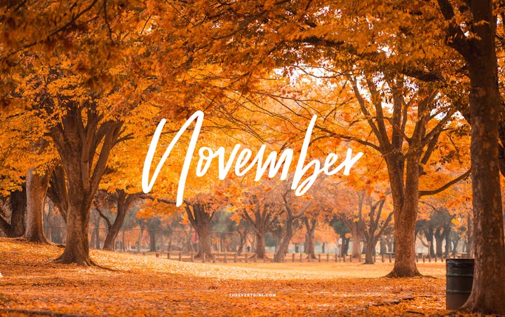 May contain: plant, tree, autumn, landscape, nature, outdoors, and scenery