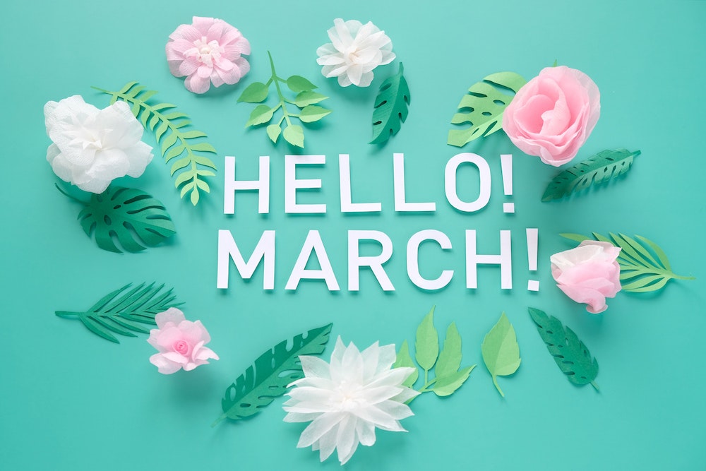 Paper flowers and leaves with "HELLO! MARCH!" on a teal background.