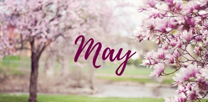 May contain: nature, outdoors, spring, flower, plant, purple, and grass