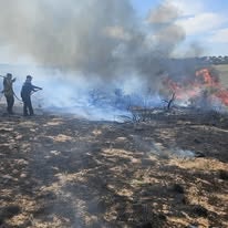 People extinguishing a grass fire with smoke and flames visible.