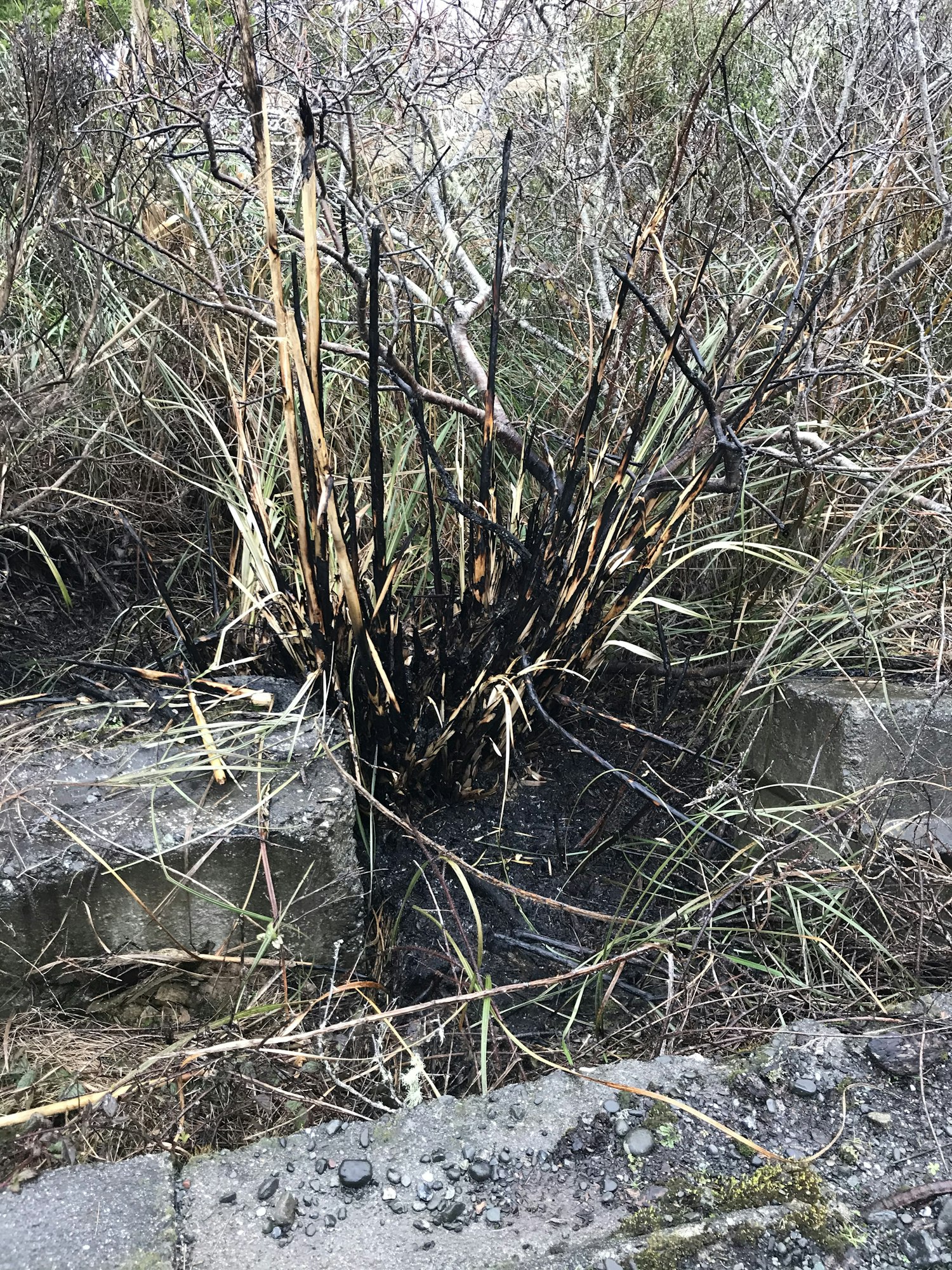 May contain: nature, land, and outdoors