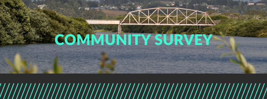 Bridge over water, trees, "COMMUNITY SURVEY" text, and graphic design elements.