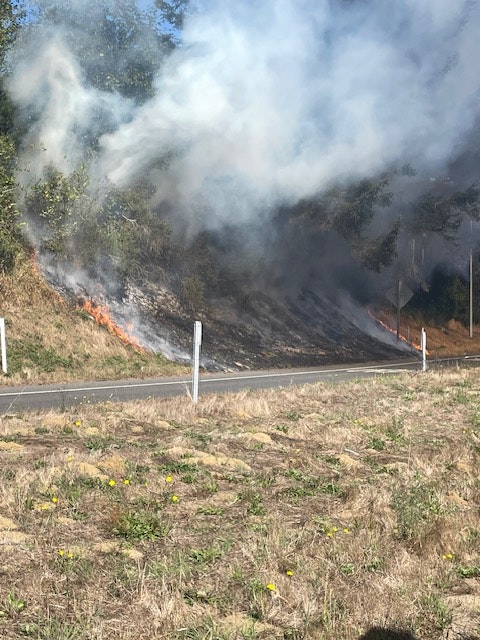 Grassy area with a fire burning close to a road, smoke rising, image rotated 90 degrees.