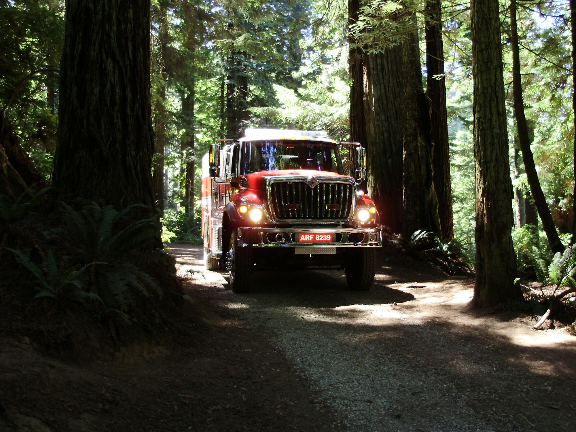 Type 3 engine driving through the Arcata Community Forest.