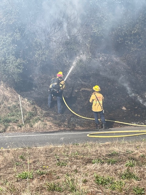 Firefighters extinguishing a fire in a grassy area with a hose.