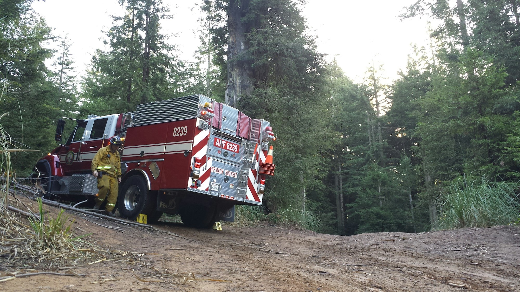 Type 3 engine in the forest.