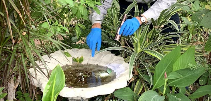 May contain: clothing and apparel