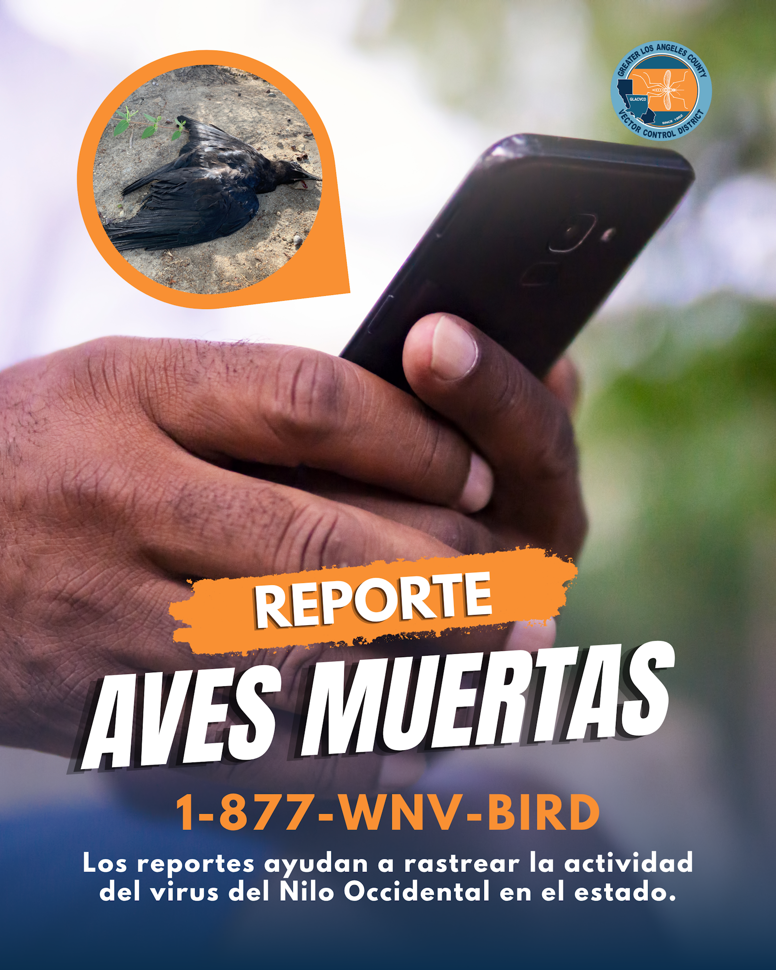 The image encourages reporting dead birds to track West Nile virus activity, featuring a hand holding a phone and a dead bird.